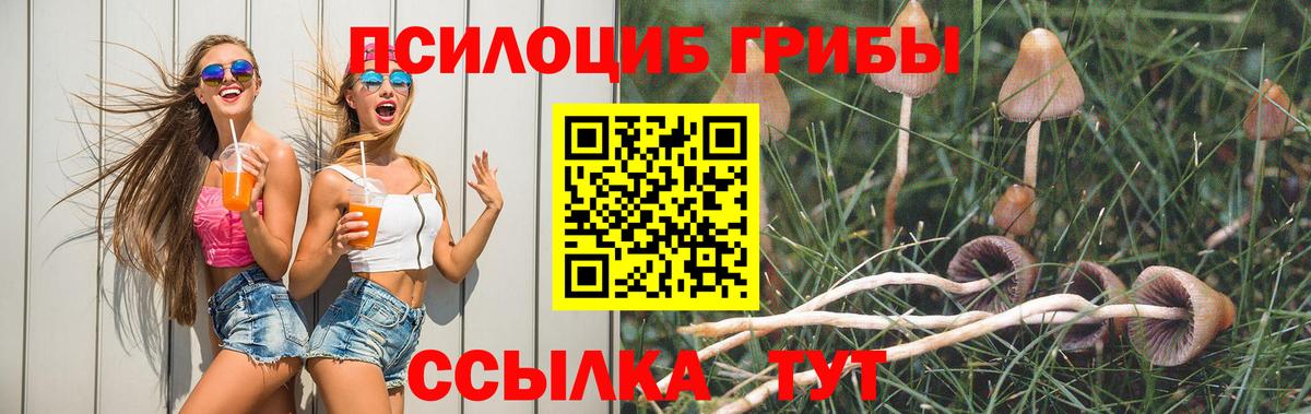 Кунгур  Псилоцибиновые грибы мухоморы  Вход с VPN 
