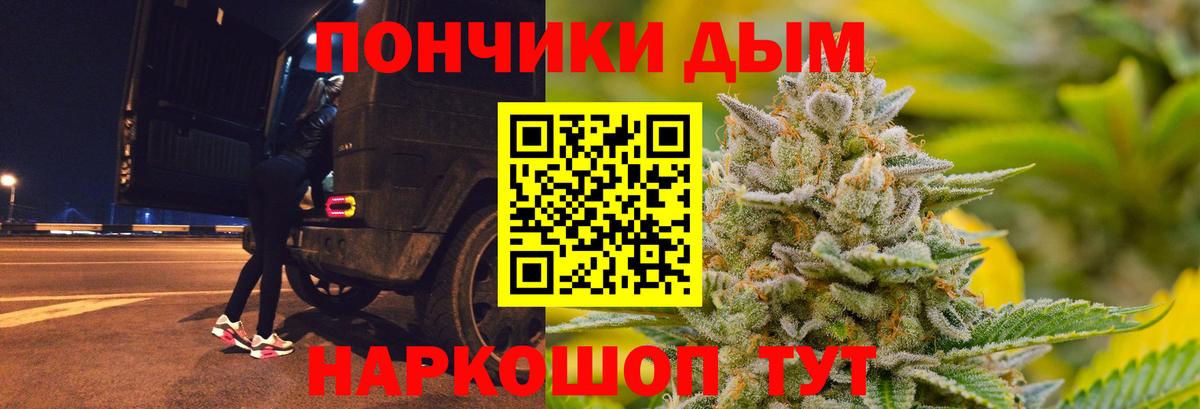 Каннабис сатива Кунгур